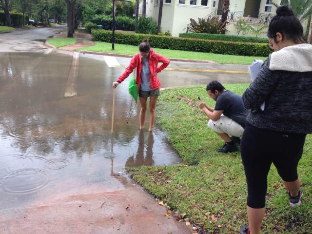 Shelby Servais, an FIU student measured flood water during the Oct. 16 Sea Level Solutions Day in Miami-Dade County. Data were submitted to the eyesontherise.org Sea Level Rise Toolkit at eyesontherise.org/app.